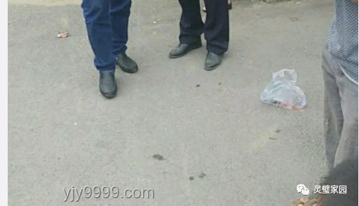 安徽师大男教师猥亵后调岗案例研究：保卫处安排合理性探讨